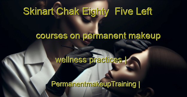Skinart Chak Eighty  Five Left courses on permanent makeup wellness practices | PermanentmakeupTraining | PermanentmakeupClasses | SkinartTraining-Pakistan